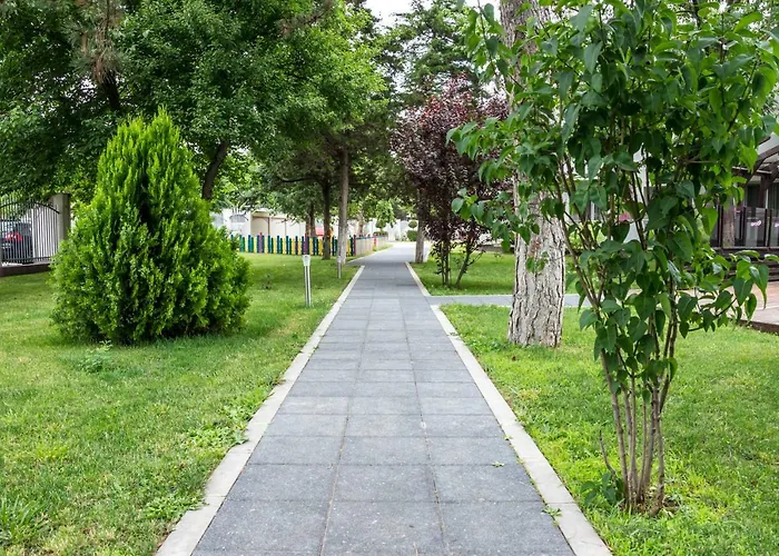 Ammon ヴィーナス