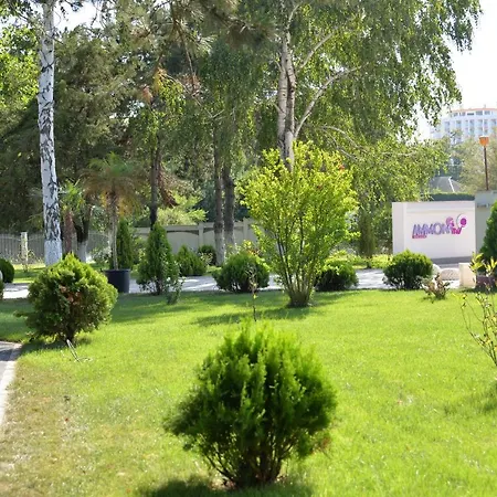 Ammon 3*