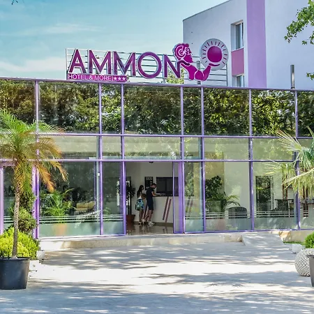 Отель Ammon 3*